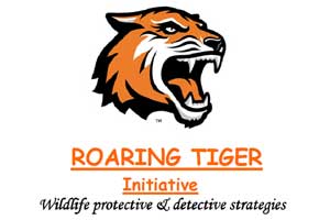 Roaring Tiger Initiative